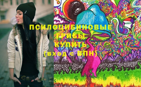 ПСИЛОЦИБИНОВЫЕ ГРИБЫ Белоозёрский
