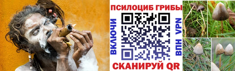 Купить закладки  Фрязино  Псилоцибиновые грибы прущие грибы 