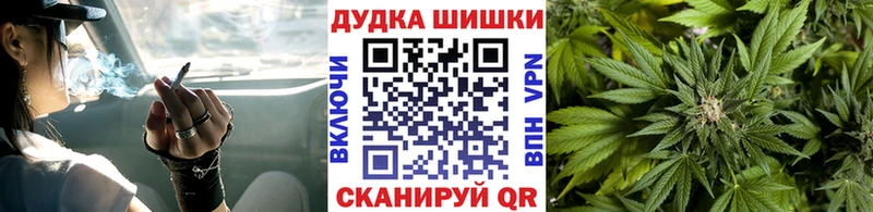 Купить закладки  Фрязино  Марихуана конопля 